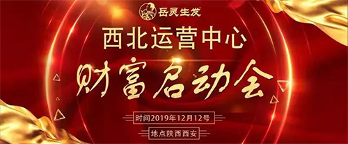 喜报|热烈祝贺岳灵“西北运营中心财富峰会”圆满启动!